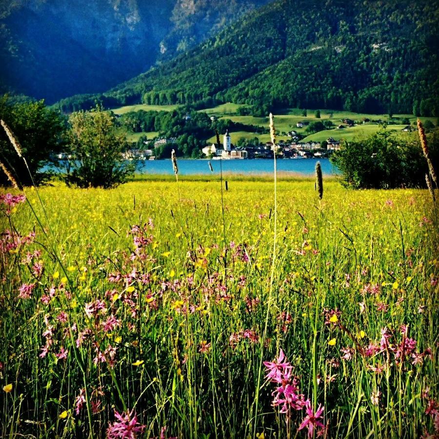 Fumerhof Strobl Dış mekan fotoğraf