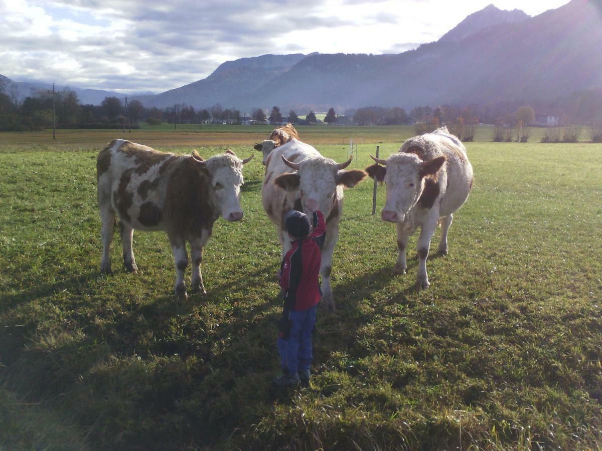 Fumerhof Strobl Dış mekan fotoğraf