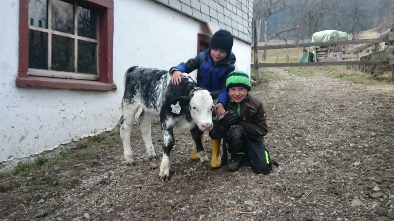 Fumerhof Strobl Dış mekan fotoğraf
