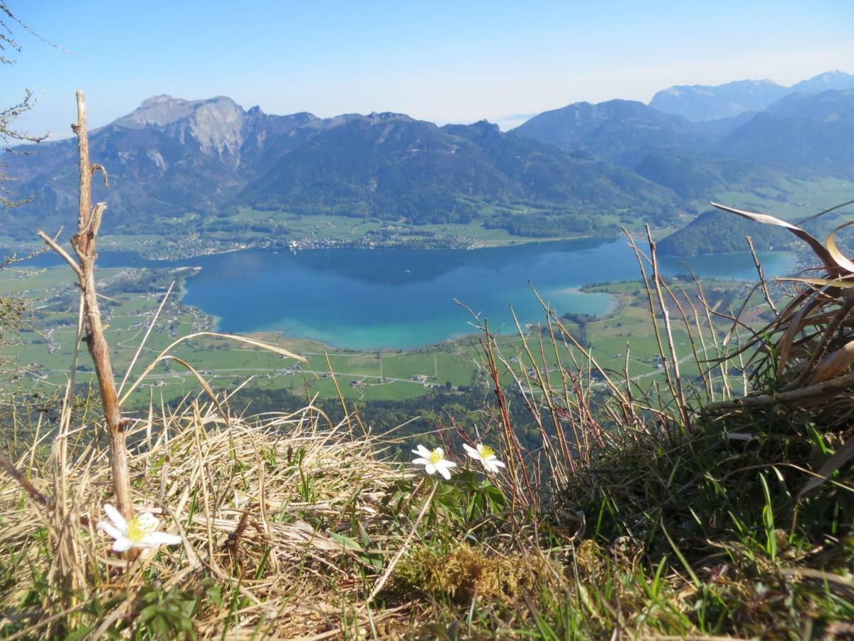 Fumerhof Strobl Dış mekan fotoğraf