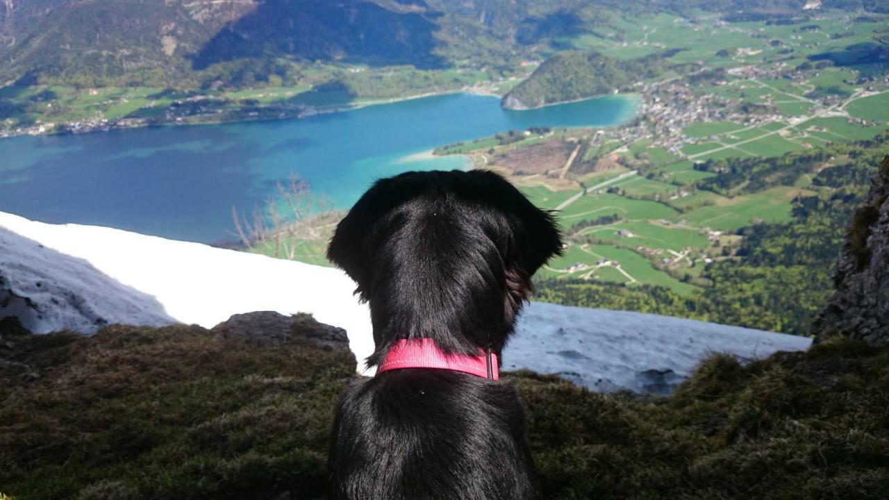 Fumerhof Strobl Dış mekan fotoğraf