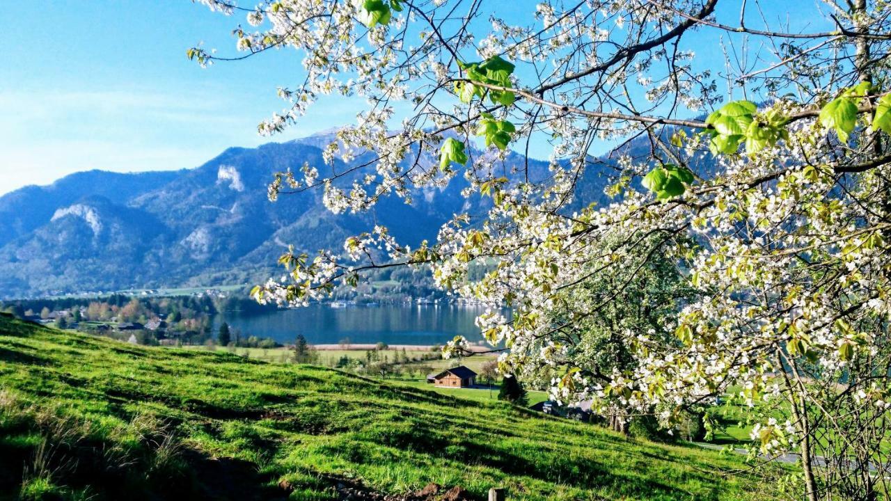 Fumerhof Strobl Dış mekan fotoğraf