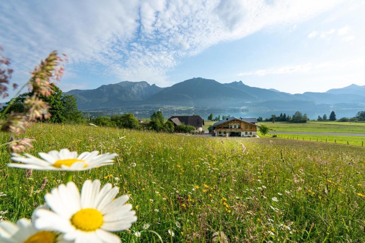 Fumerhof Strobl Dış mekan fotoğraf